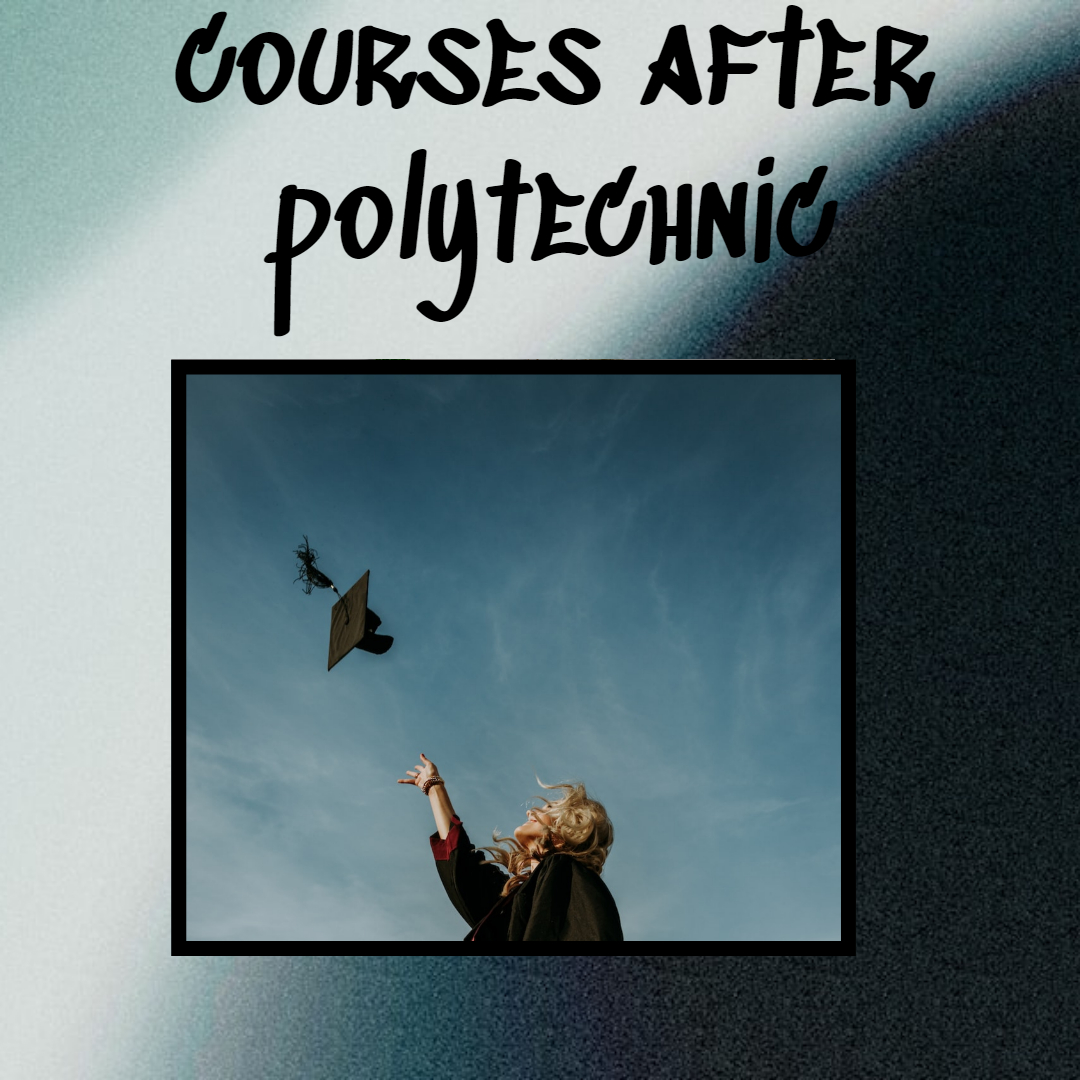 Read more about the article Extraordinary Courses After Polytechnic