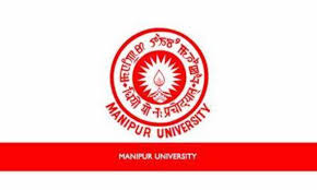 Manipur International University